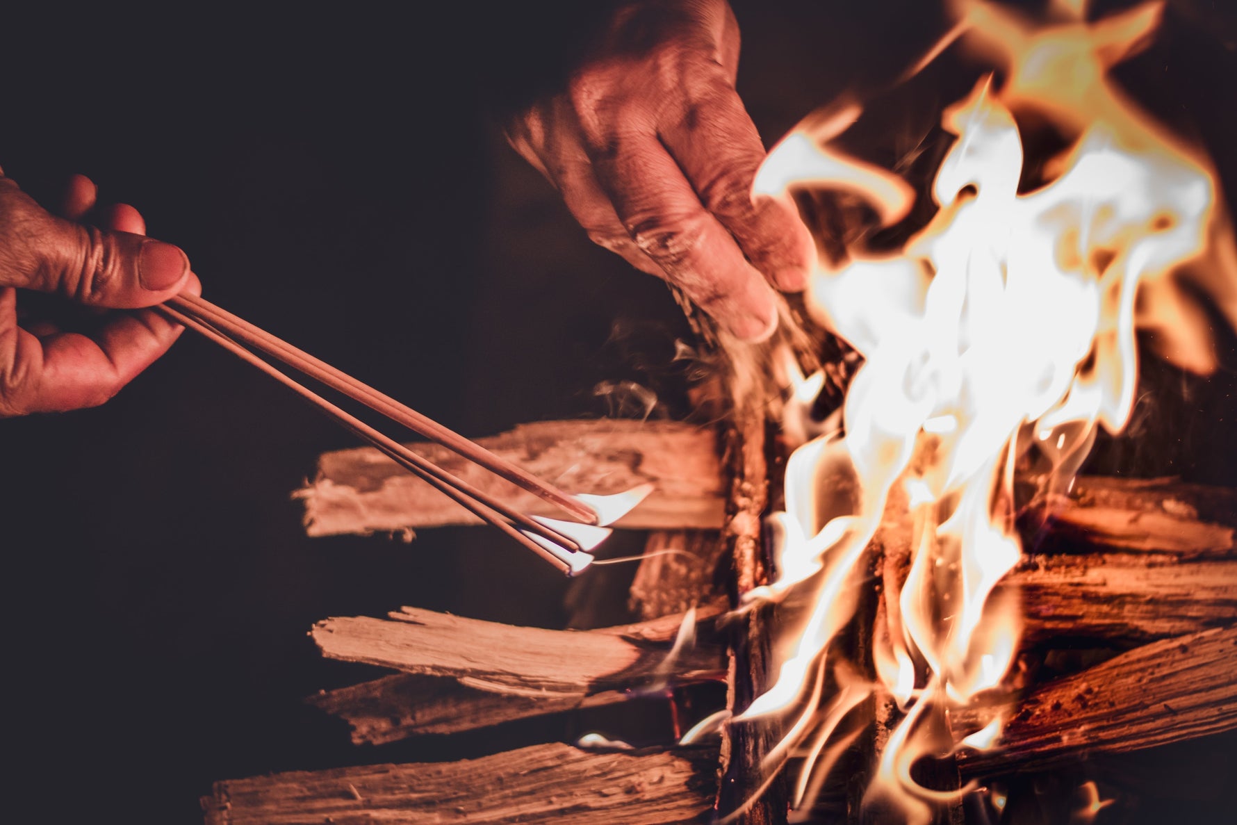 What Is The Best Wood To Cook With?