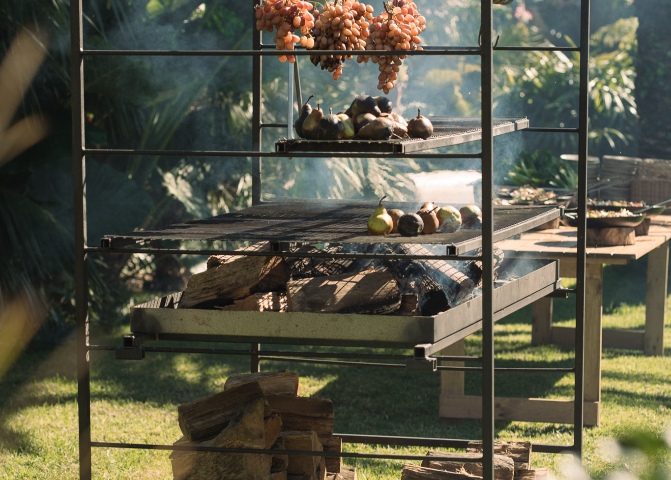 Terra Grills BBQ