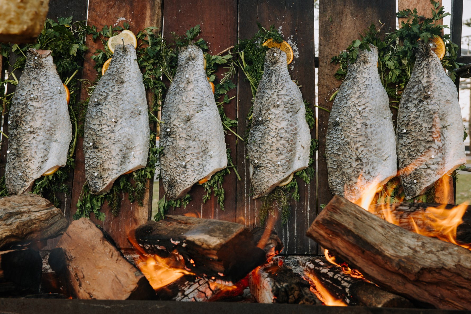 Nordic-inspired hardwood fish smoking board for slow-cooking whole fish over open fire