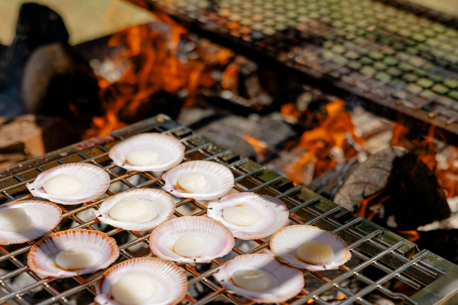 Churrasco Bundle showing complete setup with Portico Large BBQ and accessories