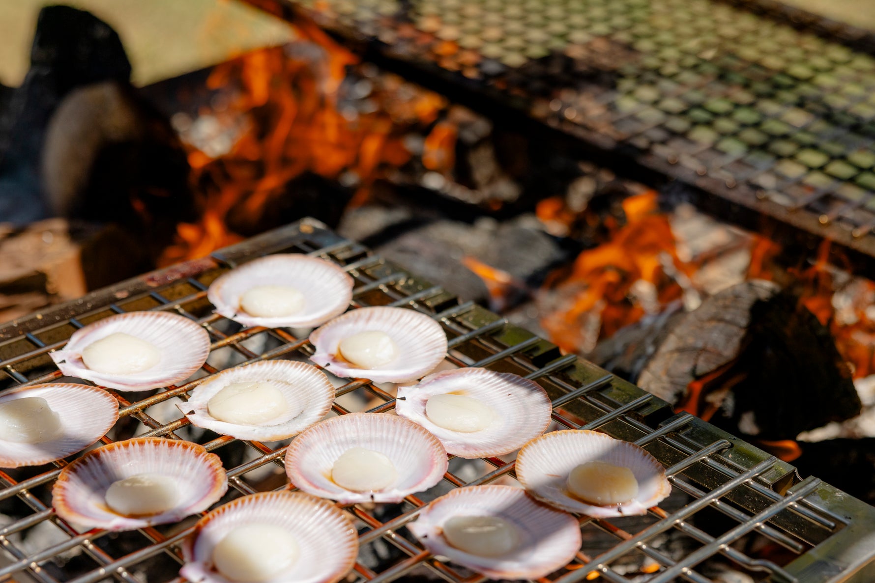 Churrasco Bundle showing complete setup with Portico Large BBQ and accessories